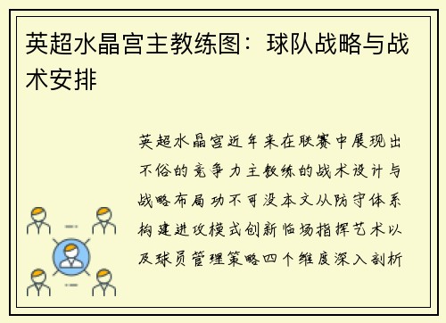 英超水晶宫主教练图：球队战略与战术安排