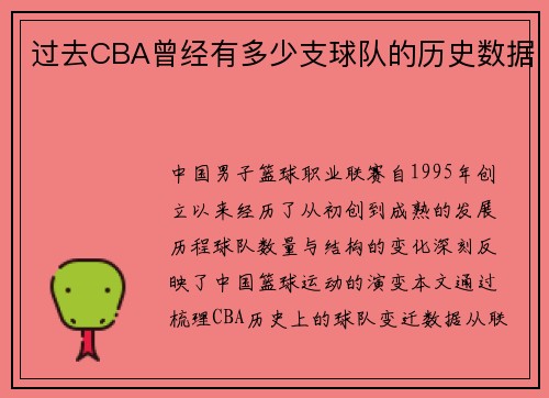 过去CBA曾经有多少支球队的历史数据